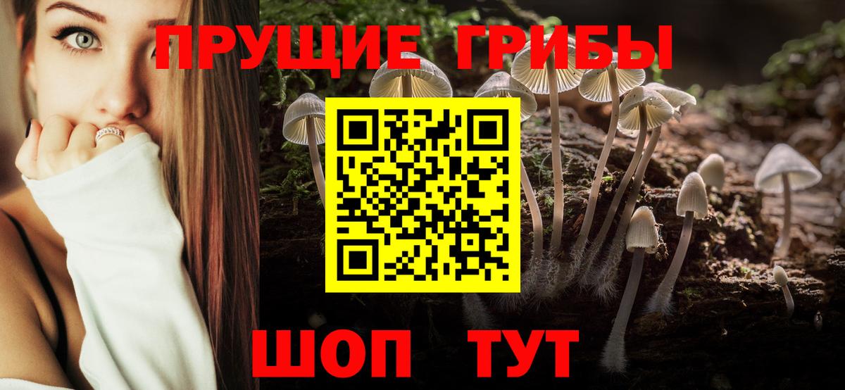 Бузулук  Псилоцибиновые грибы MAGIC MUSHROOMS  Вход с VPN 
